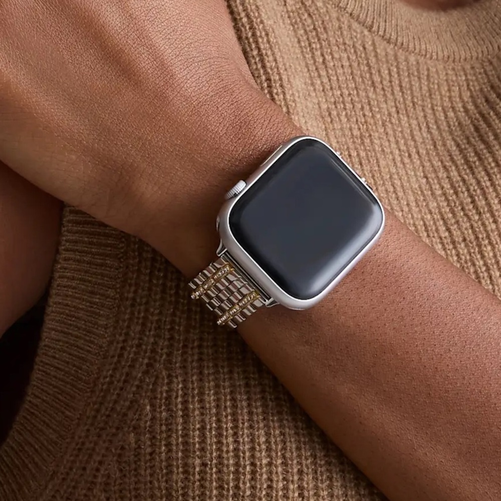 Quince Gold and Silver Link Apple Watch Band